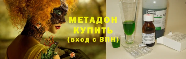 прущие грибы Арсеньев