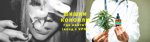 ГАЛЛЮЦИНОГЕННЫЕ ГРИБЫ Аркадак